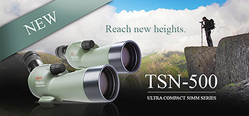 TSN-500シリーズspecial contents