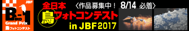 全日本鳥フォトコンテスト in JBF2012